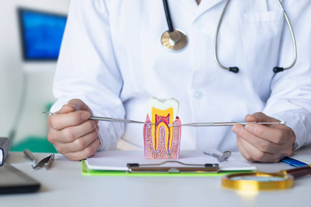 , MN Emergency Dental Service Company